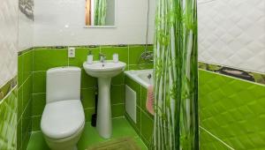 a green bathroom with a toilet and a sink at Котедж "У Мадяра" in Mykulychyn