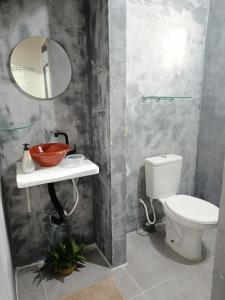 a bathroom with a toilet and a sink and a mirror at Pousada Pedra das Amazonas in Parintins +33 photos