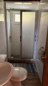 a bathroom with a shower and a toilet and a sink at Atardecer Inolvidable in Tomé