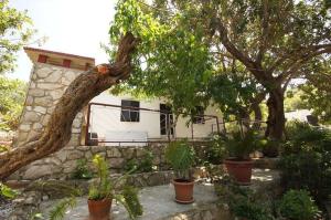 a house with trees and potted plants in front of it at House Paulo2 in Rogačić +11 photos