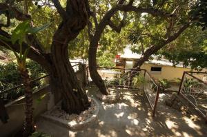 a tree with a staircase leading to a house at House Paulo2 in Rogačić