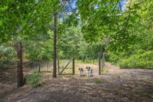two dogs are standing in front of a gate at Bear Paw Cabin in Leavenworth