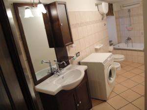 une salle de bain avec un lavabo, des toilettes et un miroir dans l'établissement Il Nido di Apricus, à Olevano Romano
