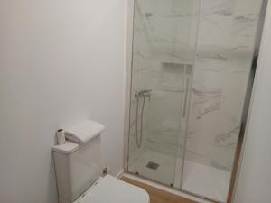a white bathroom with a shower and a toilet at Loft Mamposo in Tacoronte