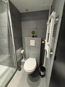 a small bathroom with a toilet and a shower at MoonGreen - EuroAirport - Basel - HighQuality in Saint-Louis +12 photos