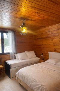 a bedroom with two beds and a chandelier at The chalet of time in Eyne