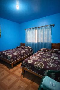 two beds in a room with blue walls at Hospedaje Rayo De Sol in Tepoztlán
