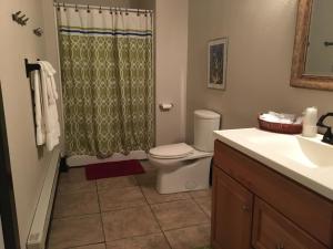 a bathroom with a toilet and a shower curtain at Morguen Toole in Meyersdale