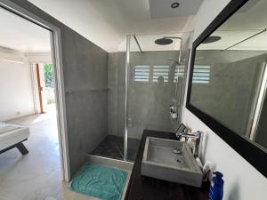 a bathroom with a shower with a sink and a mirror at Maison Nature in La Possession +12 photos