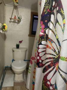 a bathroom with a toilet and a shower curtain at Hostal Art Gallery Chiloè in Castro