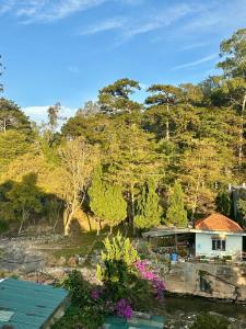 a house on the side of a river with trees at Khách sạn Hoa Chuông, trung tâm Đà Lạt in Da Lat