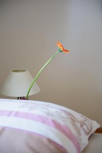 a flower on top of a pillow next to a lamp at Villa Ars Vivendi in Gols