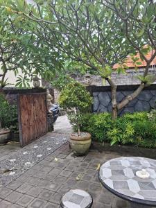 a courtyard with a tree and a stone wall at Jukung Villas Kuta in Kuta +32 photos