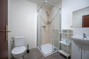 a bathroom with a shower and a toilet and a sink at Penzion u Karla in Jamolice +15 photos