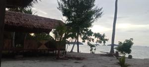 a house on the beach next to the water at Sawinsrom Homestay in Fam