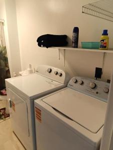 a kitchen with a dishwasher and a black cat on a shelf at Cosy single-level home with laundry and parking in Huntington