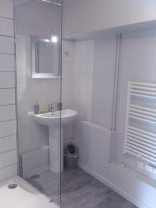 a bathroom with a sink and a glass shower at A deux pas du Rhone in Sault-Brénaz +20 photos