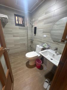 a bathroom with a toilet and a sink at Royal Court B&B in Donggang