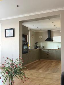a large kitchen with wooden cabinets and a potted plant at Apartament Izabella in Suwałki +9 photos