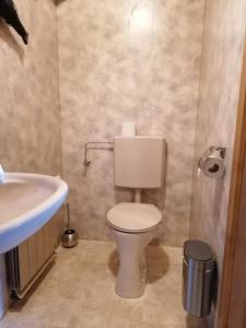 a bathroom with a toilet and a sink at Ferienwohnung Entstrasser in Virgen +45 photos