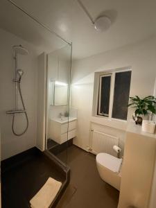a bathroom with a shower and a toilet and a sink at Skólavörðustígur Apartments in Reykjavík