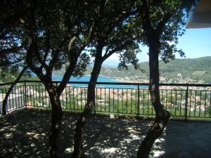 a view of the water from behind some trees at Calypso Apartments in Vathi
