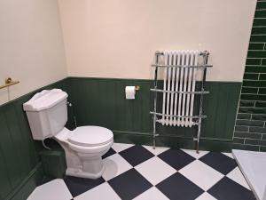 a bathroom with a white toilet and green walls at Two bed Seaside retreat in Dublin +7 photos