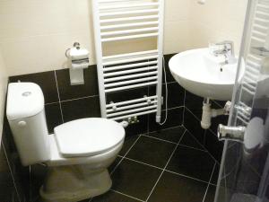 a bathroom with a toilet and a sink at Ubytování nad Bisonem in Hlinsko