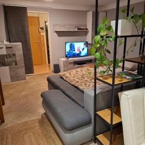 a living room with a couch and a tv at Relax-Apartment mit Sauna in Klagenfurt