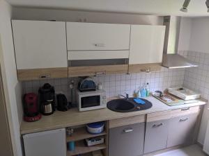 a small kitchen with a sink and a microwave at Ferienwohnung am Park in Greiz +4 photos