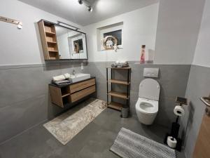 a bathroom with a toilet and a sink and a mirror at Apart Alpenflair 74 in Fliess +65 photos
