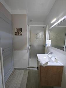 a bathroom with a sink and a shower with a mirror at Auberge Des Pins in Tourrettes +31 photos