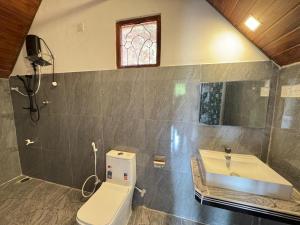 a bathroom with a sink and a toilet and a window at Sigiriya Chena Villa in Sigiriya