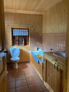 a bathroom with a toilet and a sink at Refuge-style chalet Mountain view in Colmars