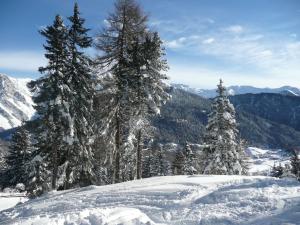 Hotel Fernblick durante l'inverno