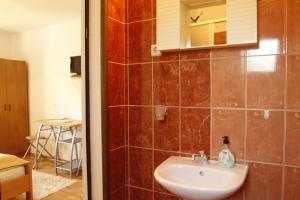 a bathroom with a sink and a mirror at House Drakulić in Korenica +70 photos