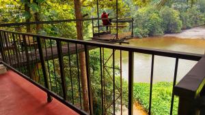 a person standing on a platform overlooking a river at Riverview Adventure Resort in Kitulgala