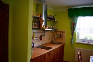Dapur atau dapur kecil di Apartmány pod sjezdovkou