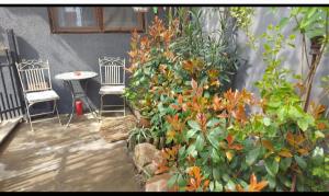 a patio with two chairs and some plants at Studio The Cozy Corner in Timişoara