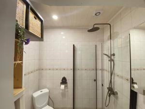 a bathroom with a shower and a toilet at Romantic Old Town Hideaway in Haapsalu +14 photos