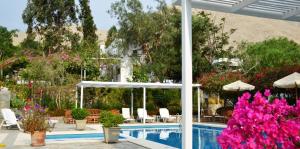 a swimming pool with pink flowers in a resort at Hotel Los Palomos in Lunahuaná