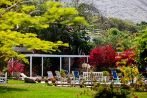 a group of chairs and a pavilion in a garden at Hotel Los Palomos in Lunahuaná
