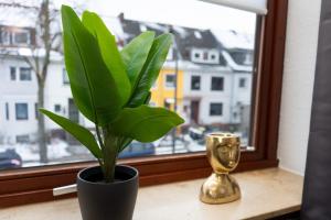 a plant sitting on a window sill next to a trophy at Apartment Central - Free parking - 5 people - 3 rooms - 3 TVs - boxspring - wifi in Bremen