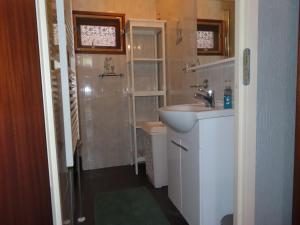 a small bathroom with a sink and a shower at Veluwe Park Reewold Chalet Eclipse in Putten +56 photos