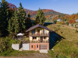 a house on a hill with a balcony at Yellow House in Pilipets