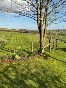 a fence with a tree in the middle of a field at North Hollacombe Farm in Colebrooke