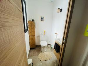 a bathroom with a white toilet and a wooden door at Maison familiale La Casa de la Cayote in Formiguères +35 photos