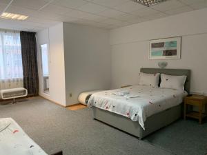ein Schlafzimmer mit einem Bett und einem Fenster in der Unterkunft Studio Rentals in Onești + 6 Fotos
