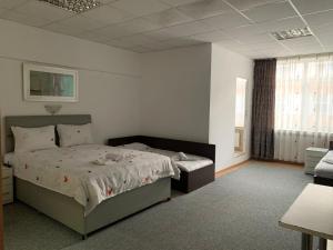 ein Schlafzimmer mit einem großen Bett und einem Fenster in der Unterkunft Studio Rentals in Onești