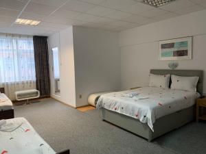 ein Schlafzimmer mit einem großen Bett und einem Fenster in der Unterkunft Studio Rentals in Onești